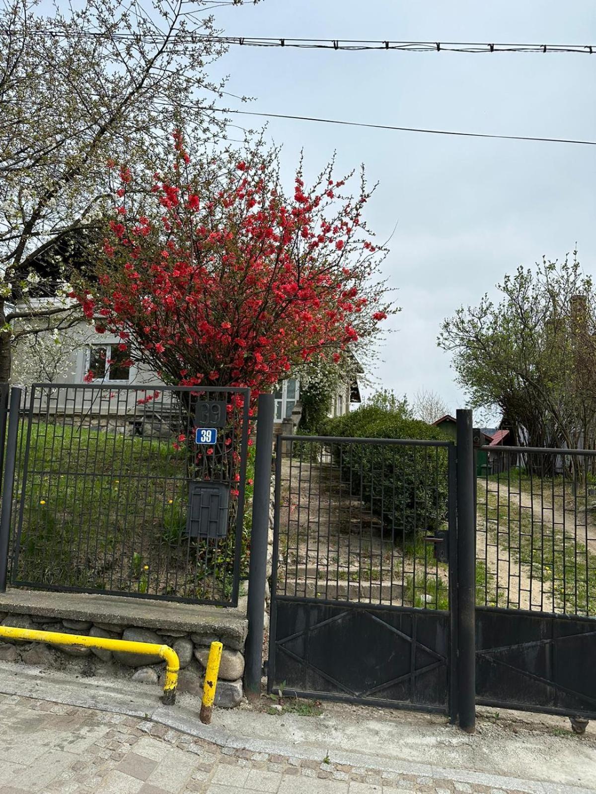 Villa Casa Eroilor Curtea de Argeş Exterior foto